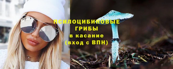 прущий лед Абаза