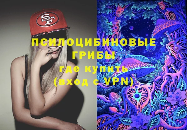 таблы Няндома