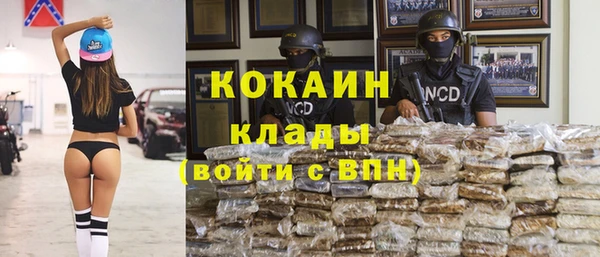 индика Осинники