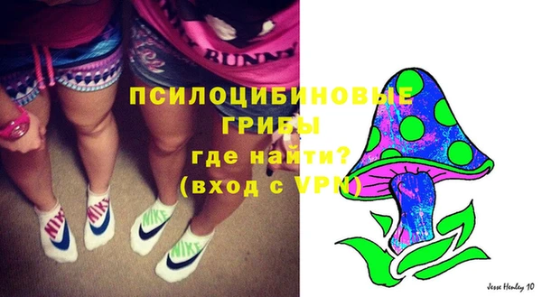 таблы Няндома