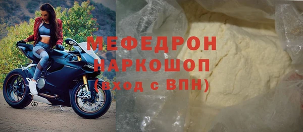 индика Осинники