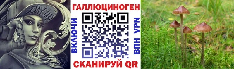 магазин продажи наркотиков Руза Галлюциногенные грибы мицелий