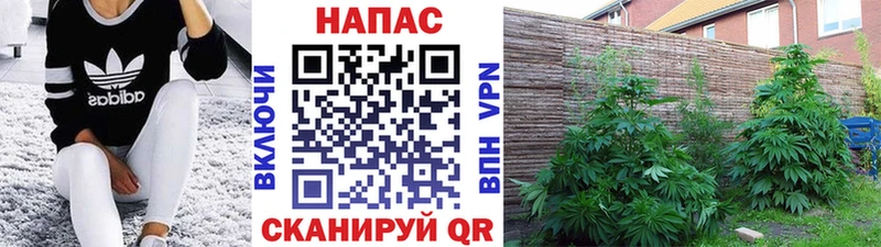МАРИХУАНА Ganja  Руза 